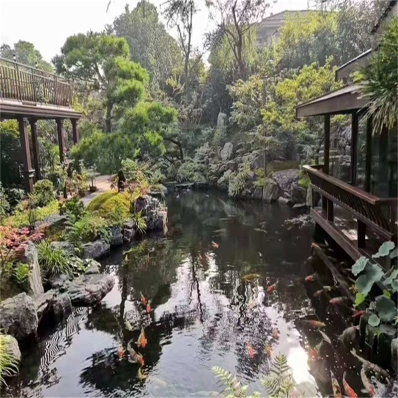 澄迈假山植物小鱼池